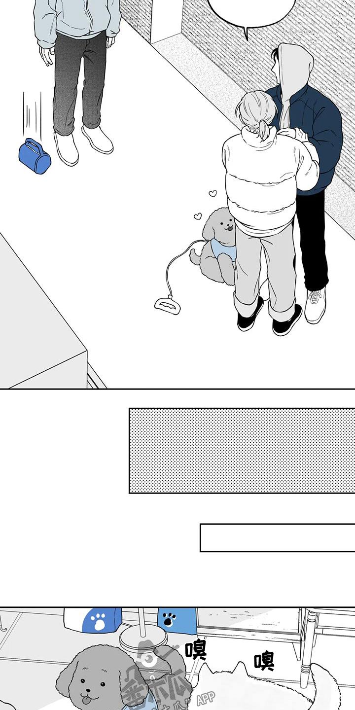 《遗失的戒指》第134章【第二季】吃醋 第2页