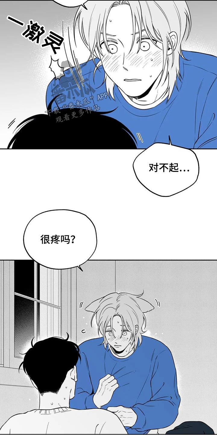 《遗失的戒指》第133章【第二季】大白天 第3页