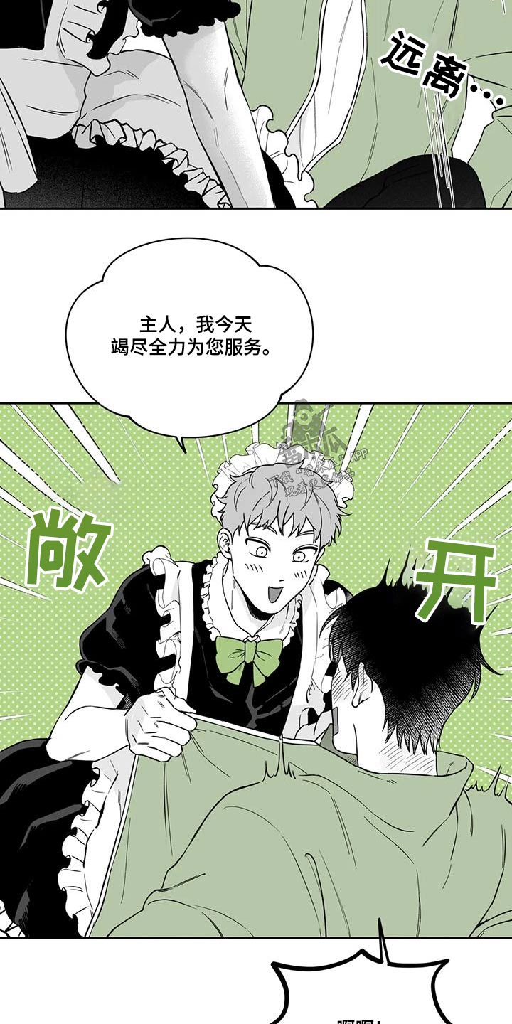 《遗失的戒指》第136章【第二季】不是梦 第14页