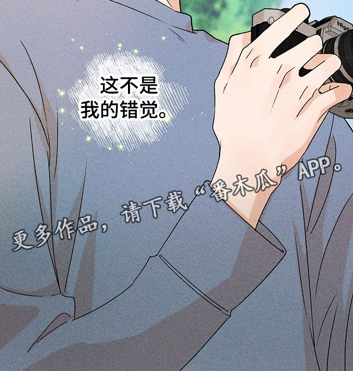 《别让我心动》第14章不是错觉 第30页