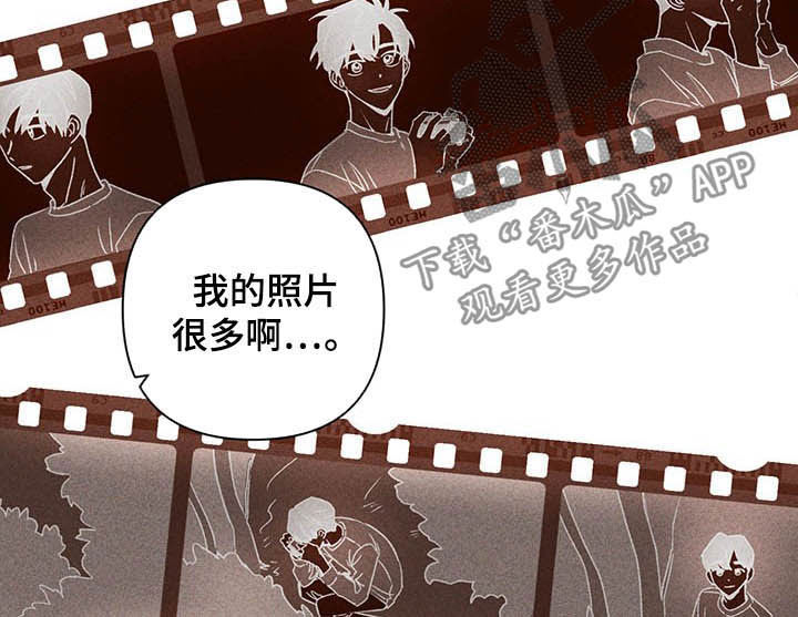 《别让我心动》第15章我不忙啊 第13页