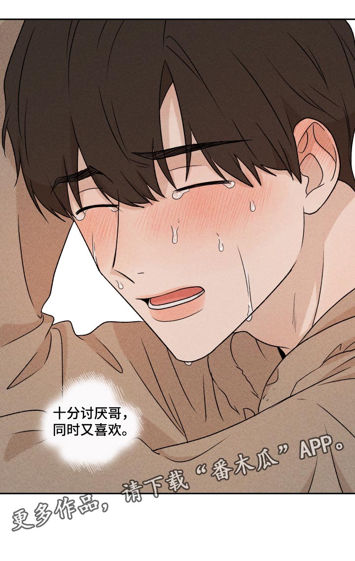 《别让我心动》第33章讨厌同时又喜欢 第24页