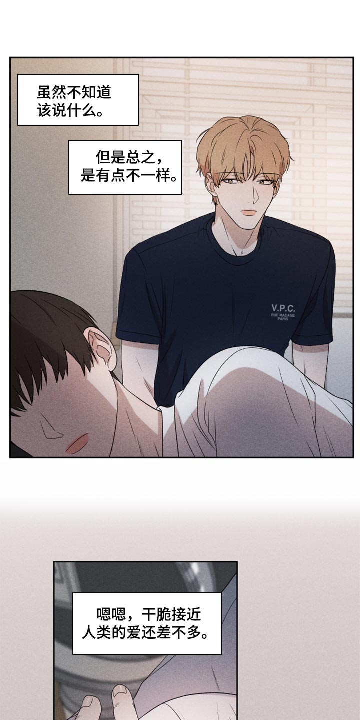 《别让我心动》第38章有点不一样 第13页