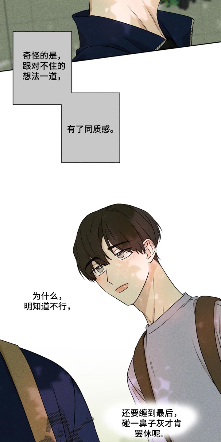 《别让我心动》第41章这是真心话 第15页