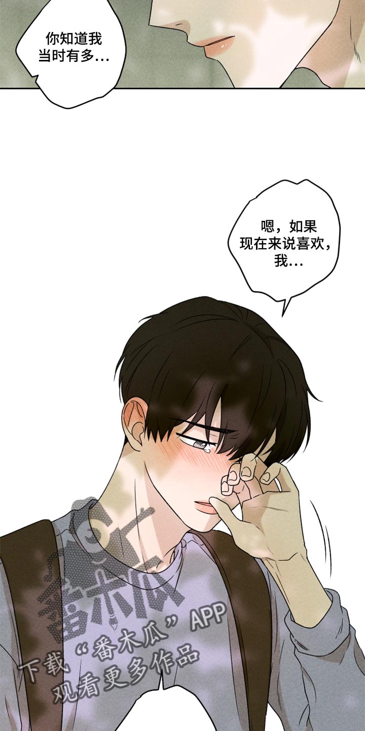 《别让我心动》第43章真的好喜欢你 第3页