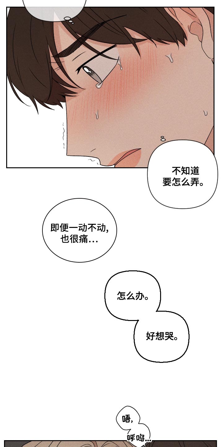 《别让我心动》第68章【第二季】好吸引人 第2页