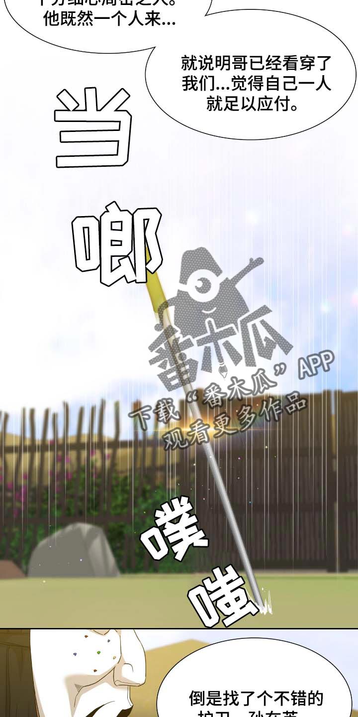 《驯虎要领》第82章相似的长相 第15页