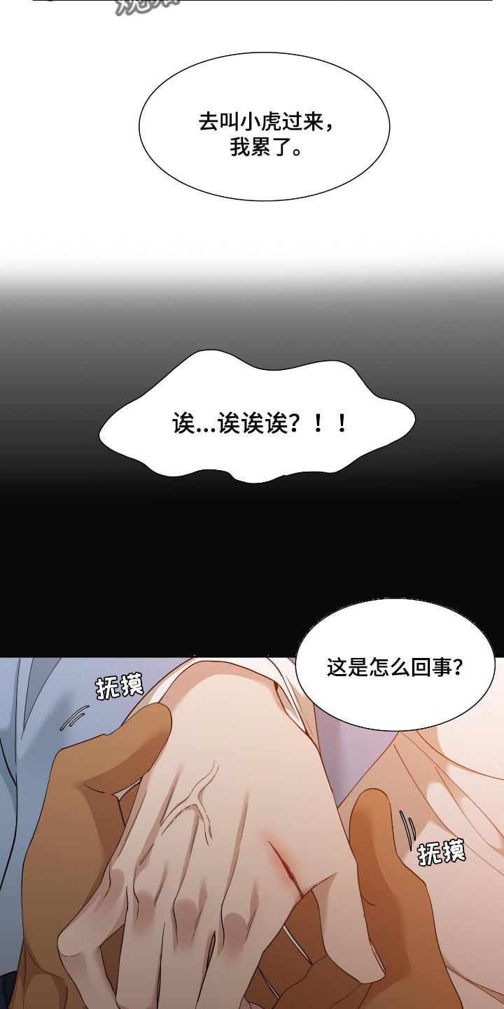 《驯虎要领》第84章讨厌 第11页