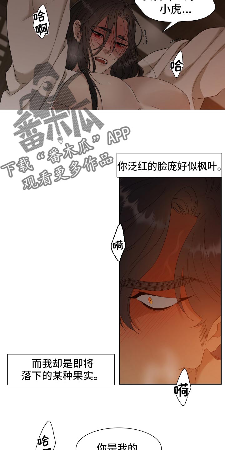 《驯虎要领》第90章觉悟 第14页