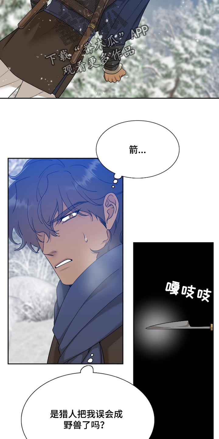《驯虎要领》第121章戒指 第15页
