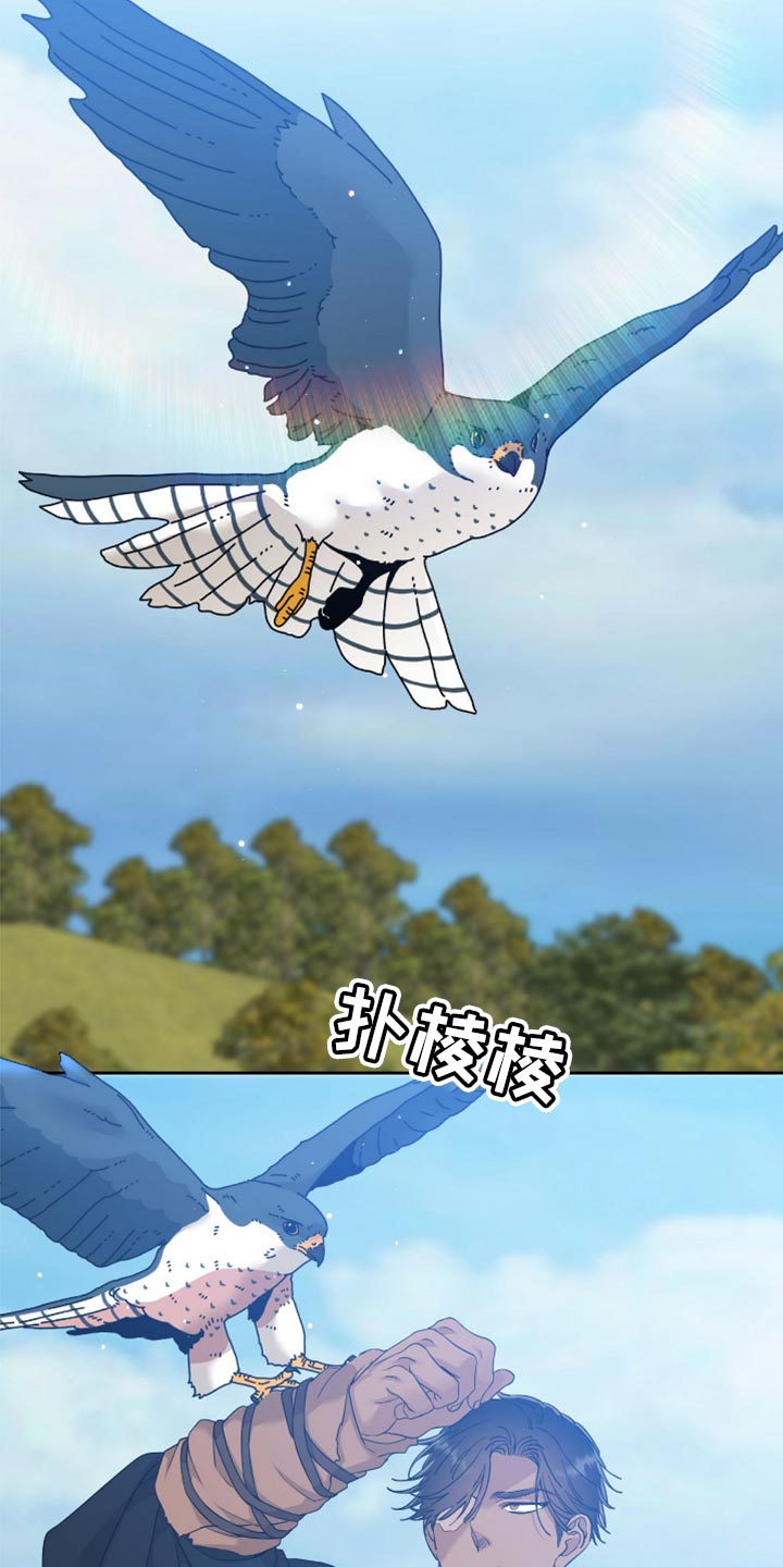 《驯虎要领》第123章两个人的秘密 第15页
