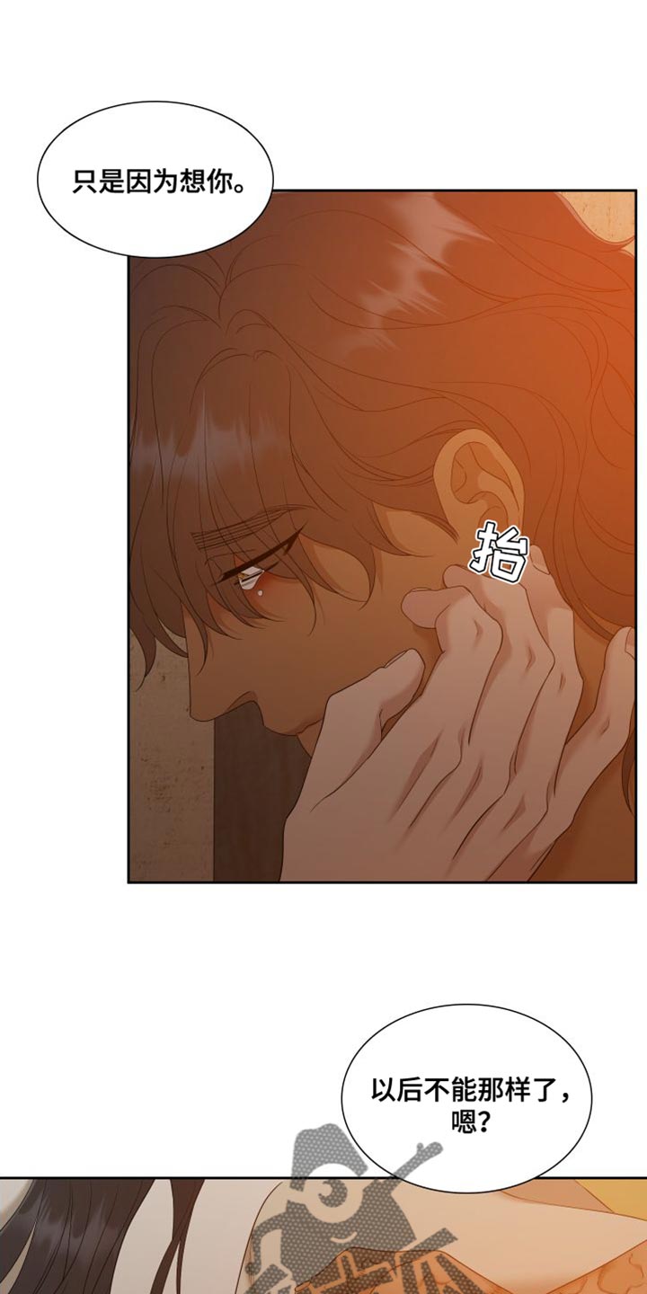 《驯虎要领》第149章【番外】唯一没有兑现的承诺 第24页