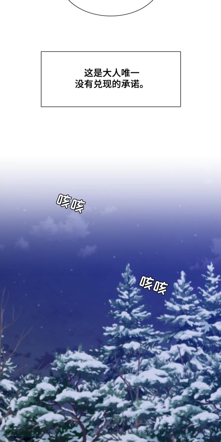《驯虎要领》第149章【番外】唯一没有兑现的承诺 第27页