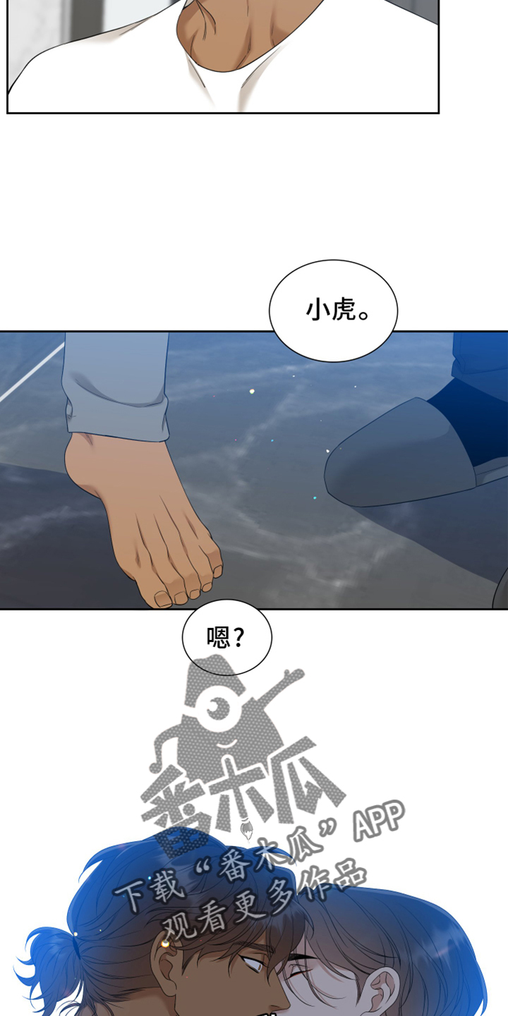 《驯虎要领》第151章【番外】等待 第11页