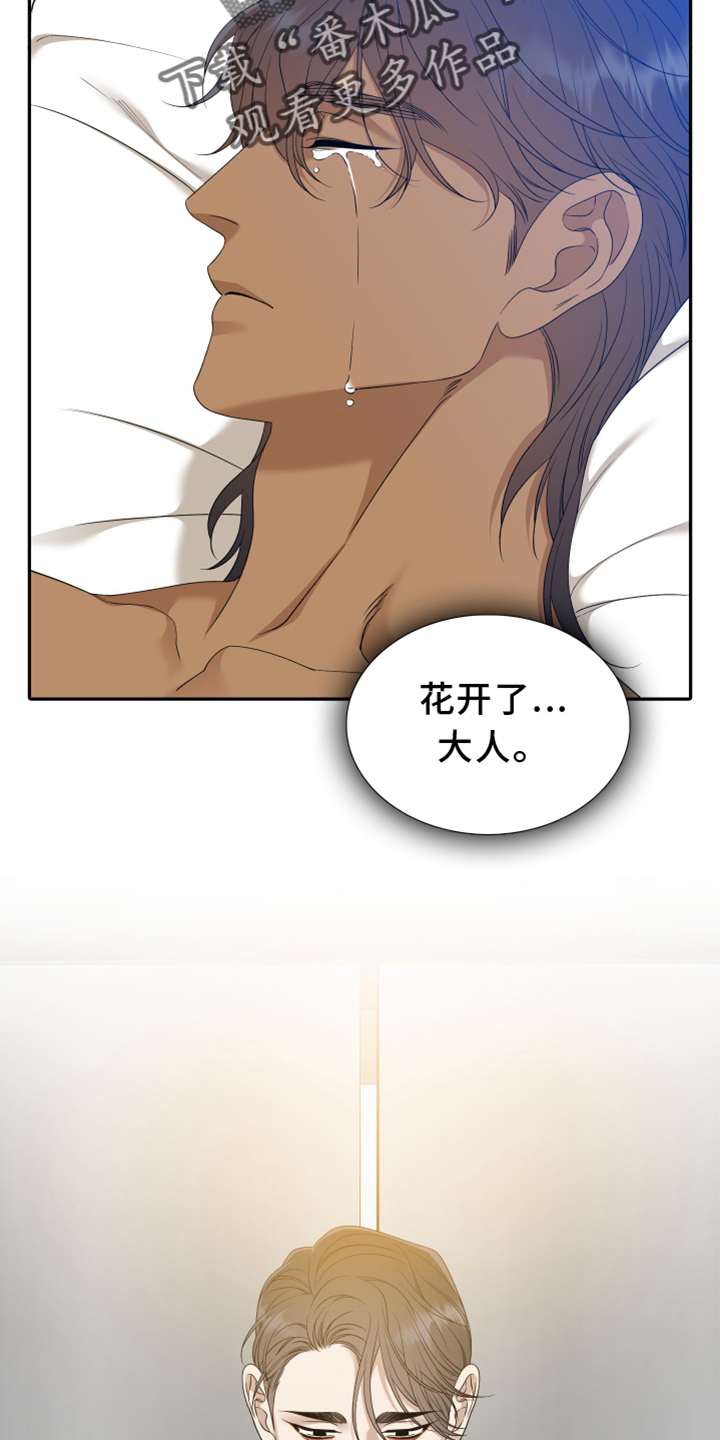 《驯虎要领》第151章【番外】等待 第19页