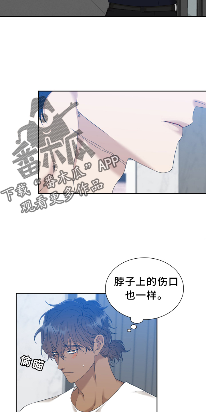 《驯虎要领》第151章【番外】等待 第9页