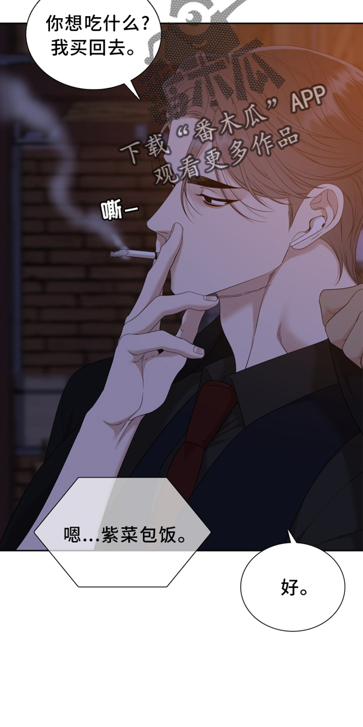 《驯虎要领》第152章【番外】试验 第13页