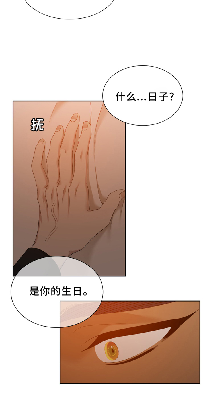 《驯虎要领》第152章【番外】试验 第24页