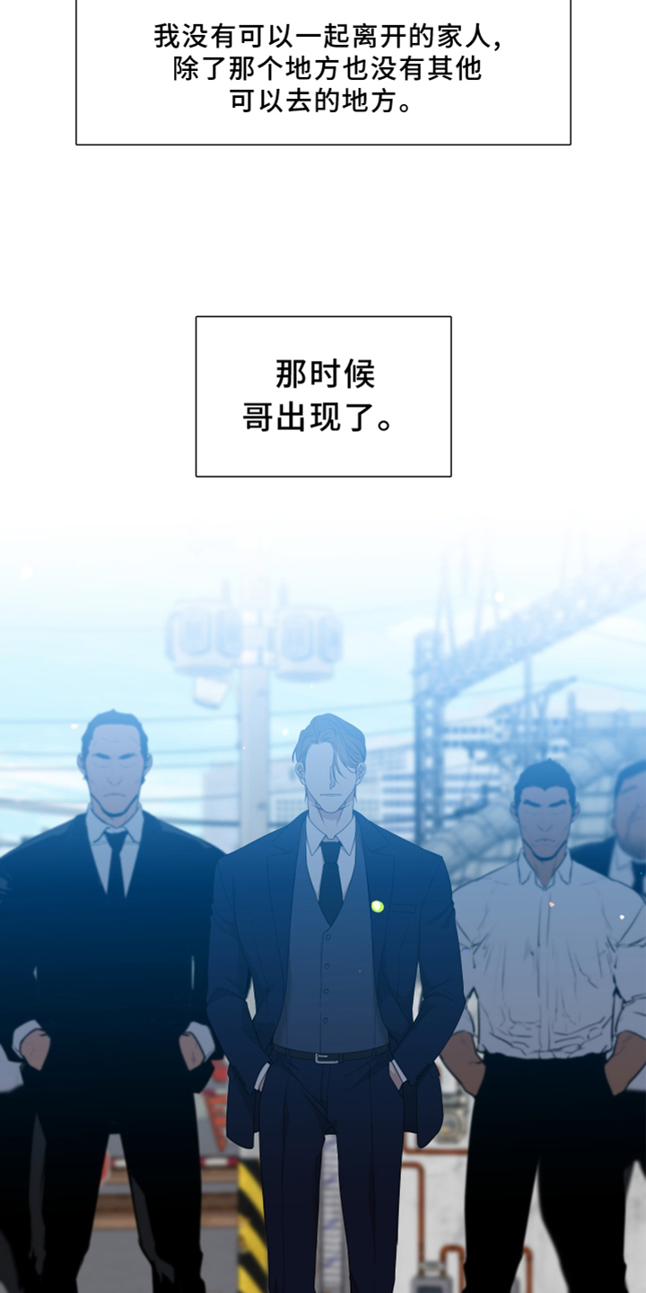 《驯虎要领》第152章【番外】试验 第2页