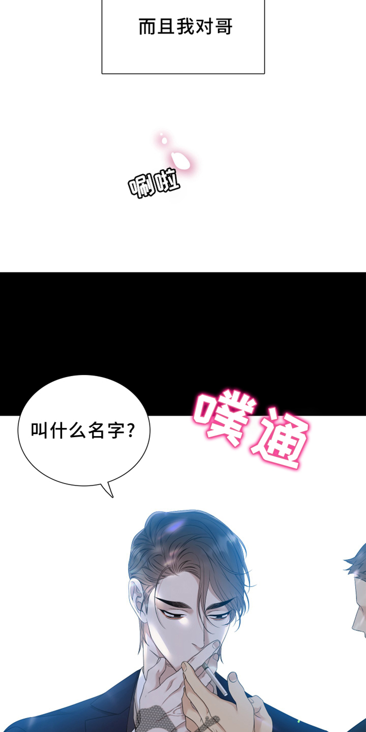 《驯虎要领》第152章【番外】试验 第5页