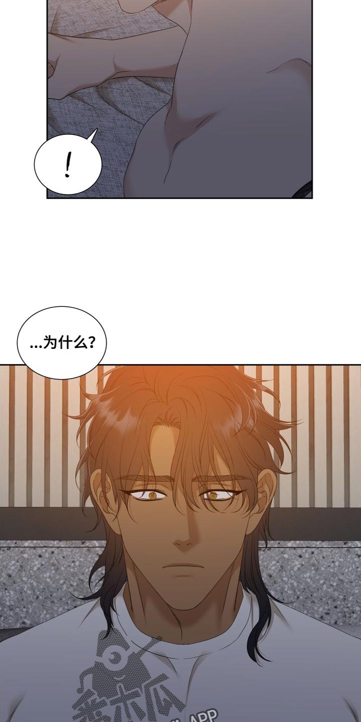 《驯虎要领》第156章【番外】一定害怕了吧 第3页