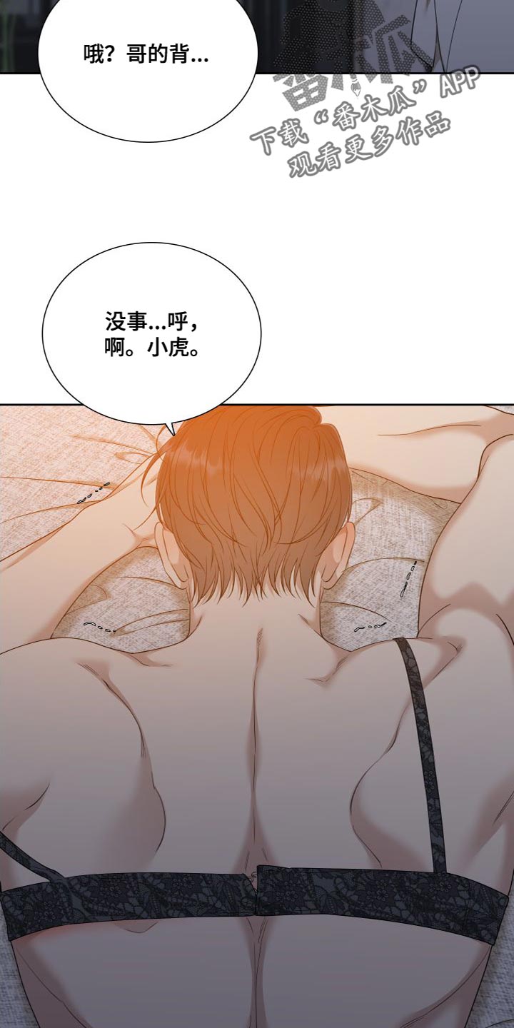 《驯虎要领》第155章【番外】紧张 第17页