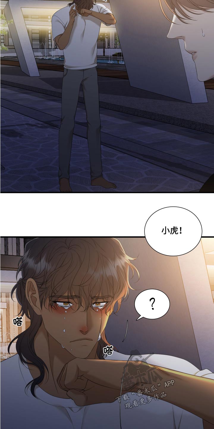 《驯虎要领》第157章【番外】害怕 第12页