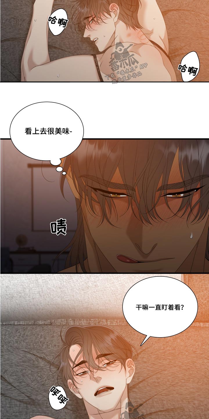 《驯虎要领》第159章【番外】漂亮 第2页
