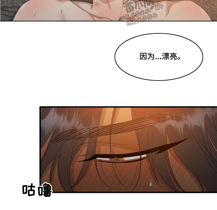 《驯虎要领》第159章【番外】漂亮 第3页