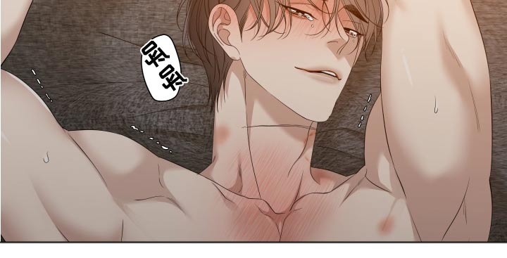 《驯虎要领》第159章【番外】漂亮 第5页