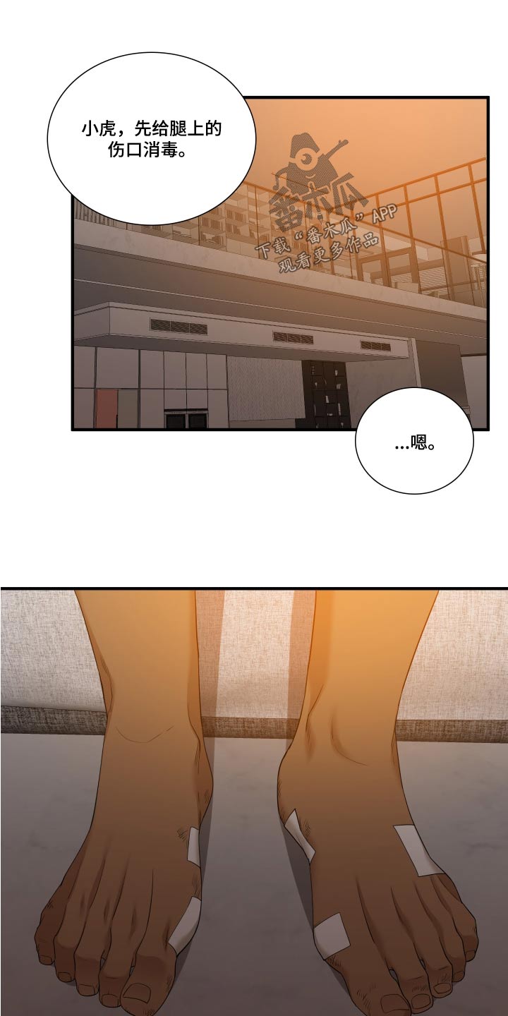 《驯虎要领》第158章【番外】全部 第17页