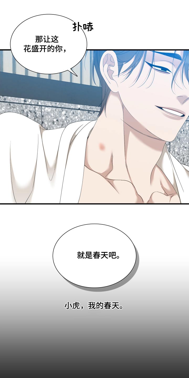 《驯虎要领》第160章【番外】春天 第15页