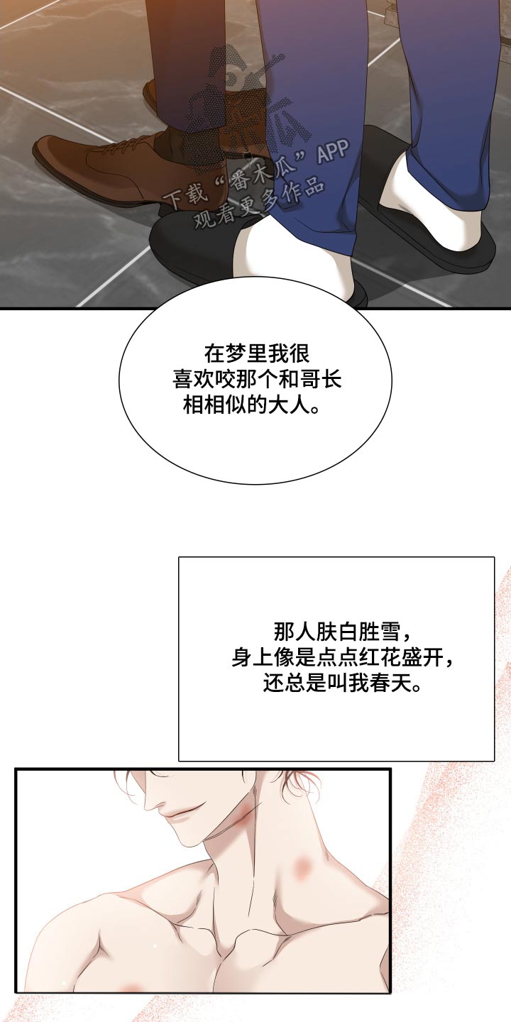 《驯虎要领》第161章【番外】得忘记 第13页