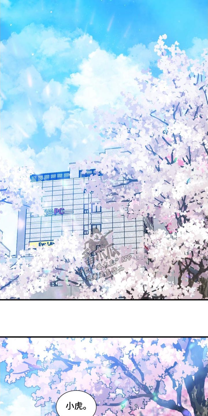 《驯虎要领》第163章【番外】不用隐藏 第15页