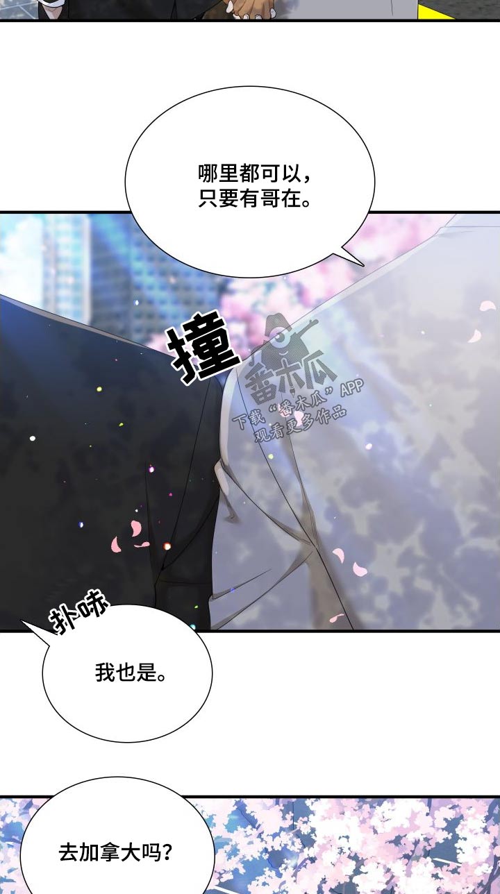 《驯虎要领》第163章【番外】不用隐藏 第19页