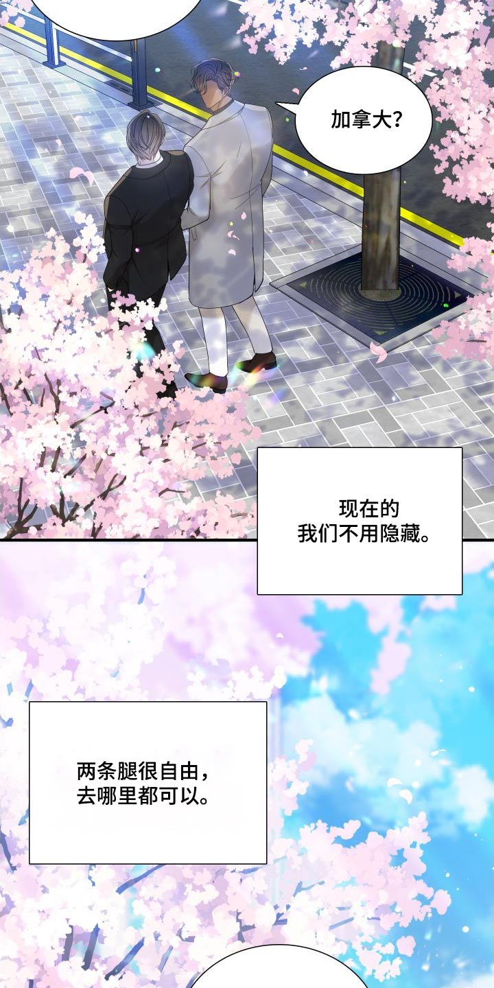 《驯虎要领》第163章【番外】不用隐藏 第20页