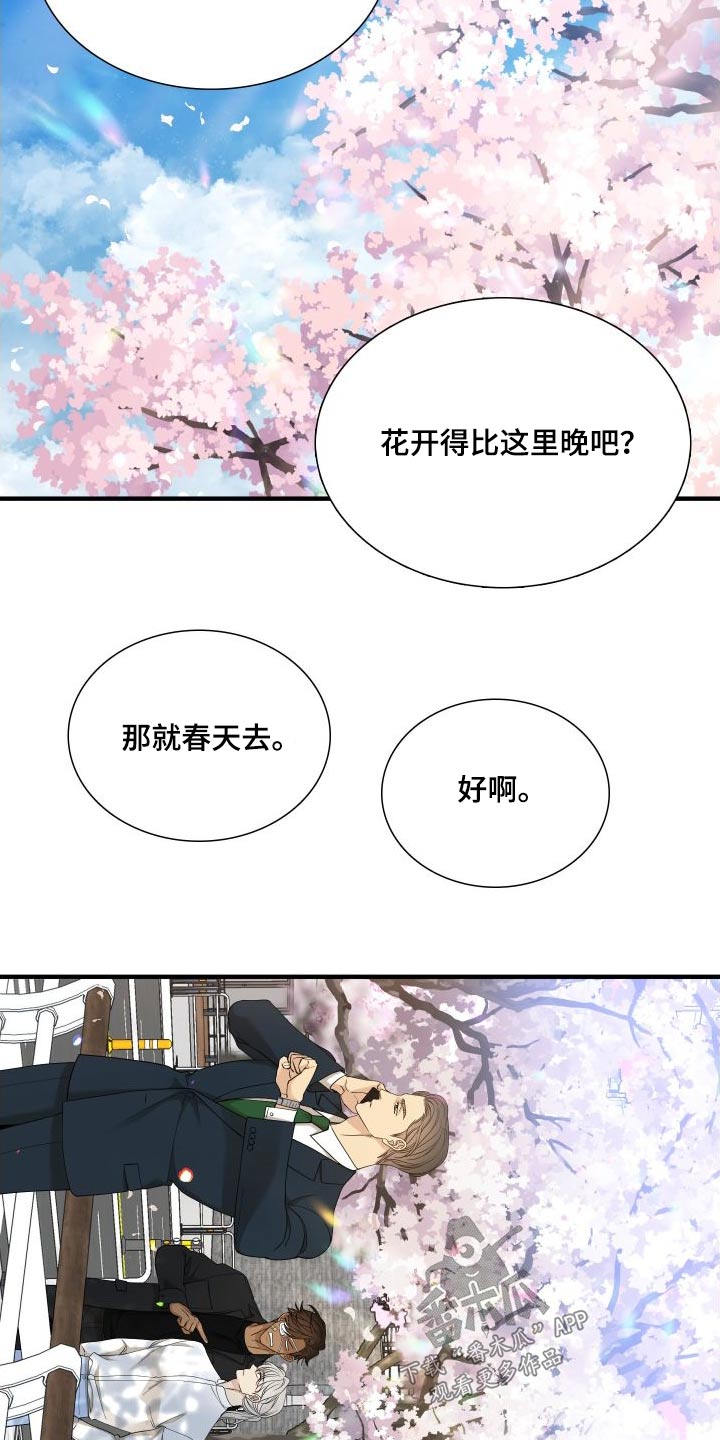 《驯虎要领》第163章【番外】不用隐藏 第30页