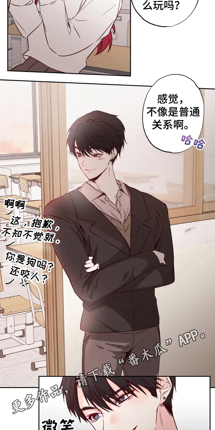 《你可别乱来啊》第7章怀疑 第14页