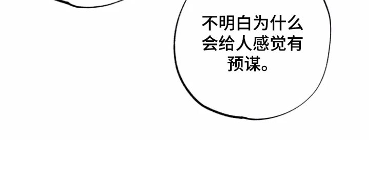《你可别乱来啊》第19章预谋 第21页