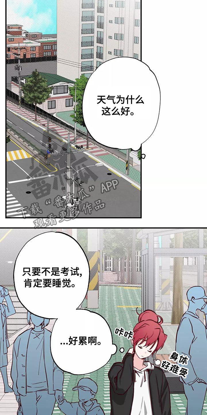 《你可别乱来啊》第30章打球 第2页