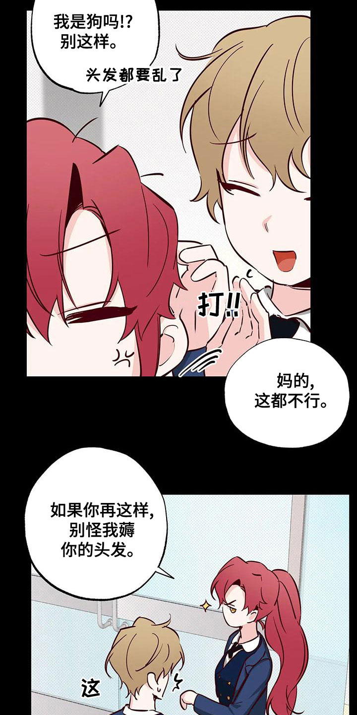 《你可别乱来啊》第33章不要表白 第12页