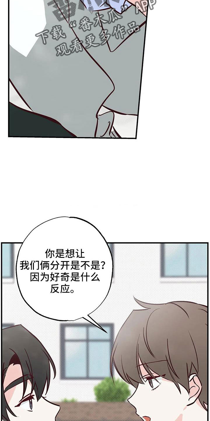 《你可别乱来啊》第46章正在恋爱 第4页