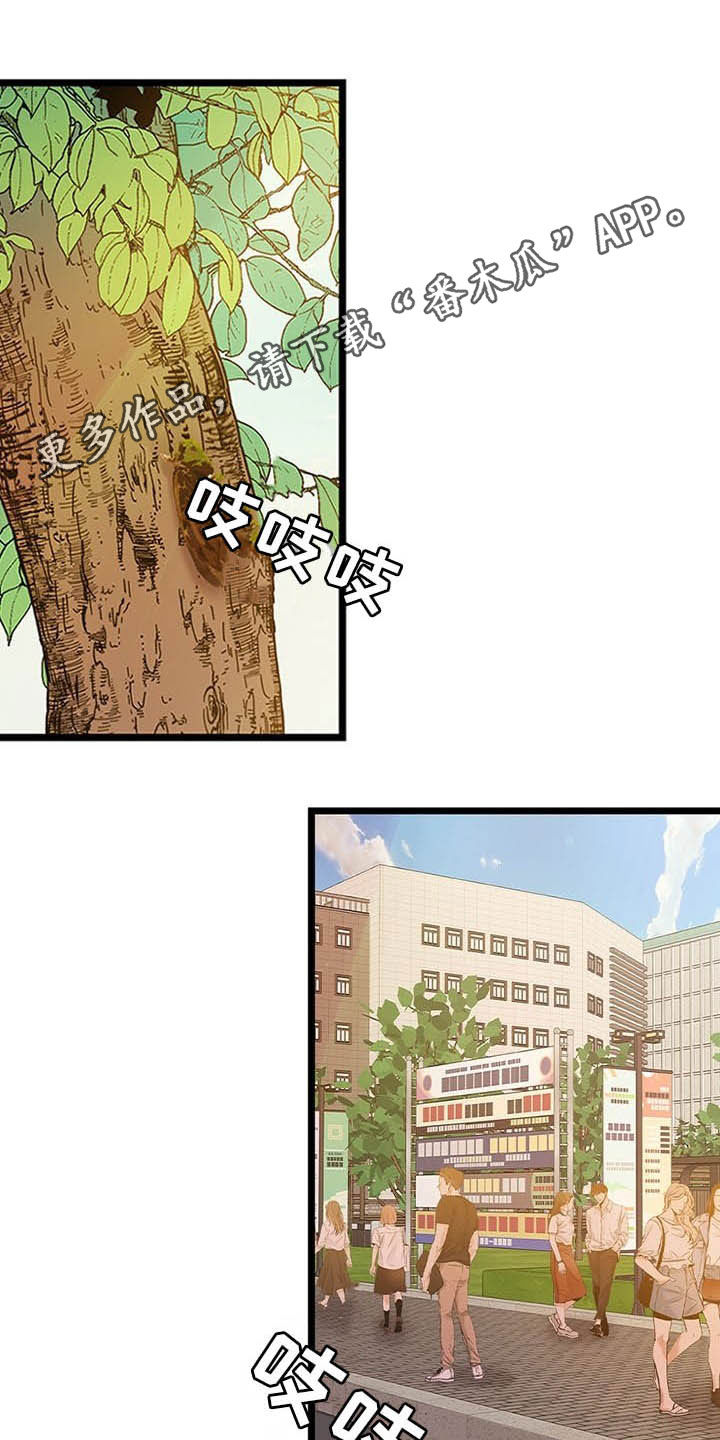 《可爱铃铛》第40章休假 第1页
