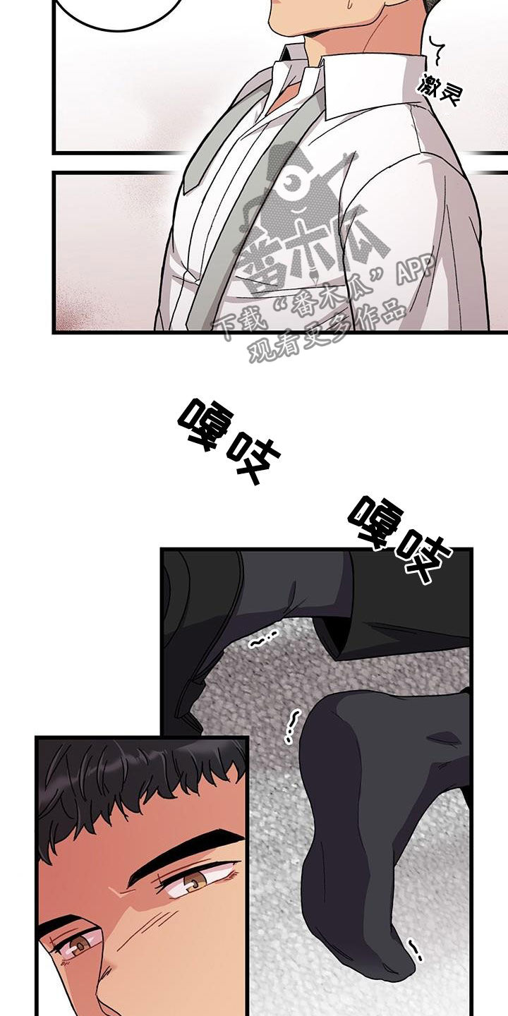 《可爱铃铛》第51章入职 第15页
