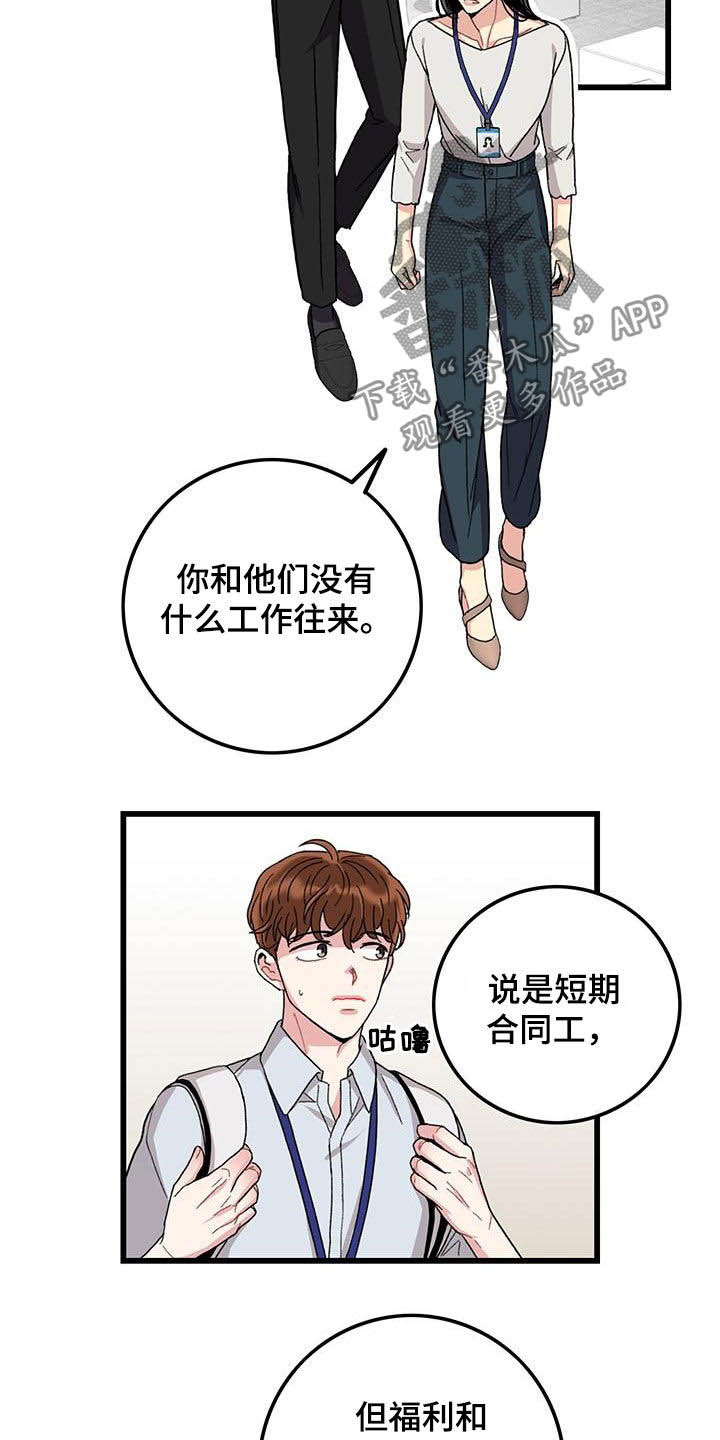 《可爱铃铛》第51章入职 第2页