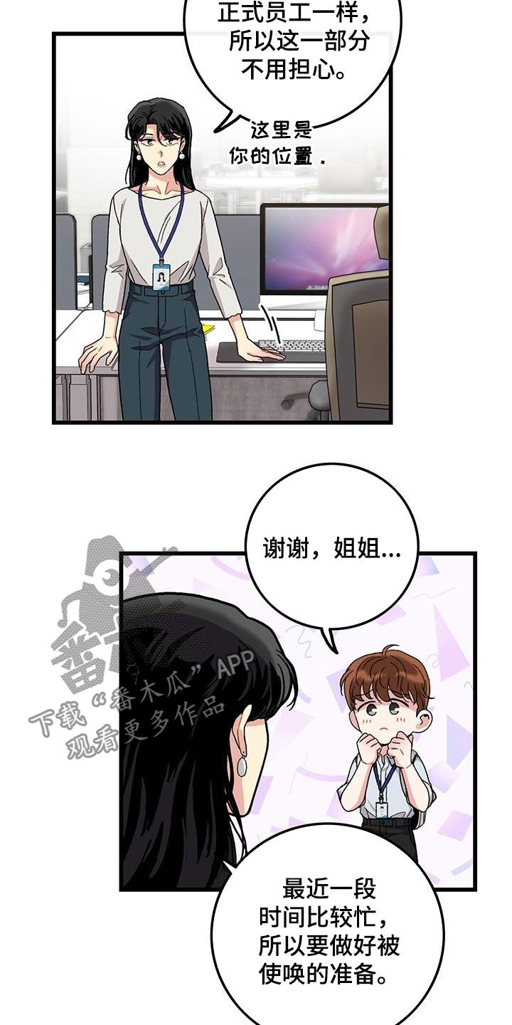 《可爱铃铛》第51章入职 第3页