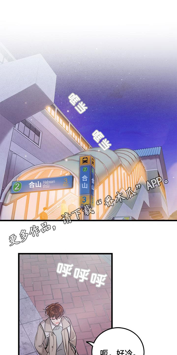 《可爱铃铛》第61章拼尽全力 第1页