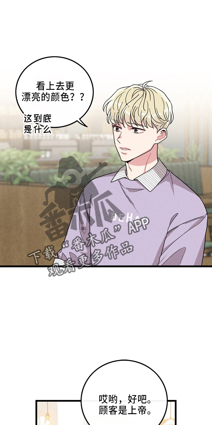 《可爱铃铛》第65章【第二季】逃来的 第6页