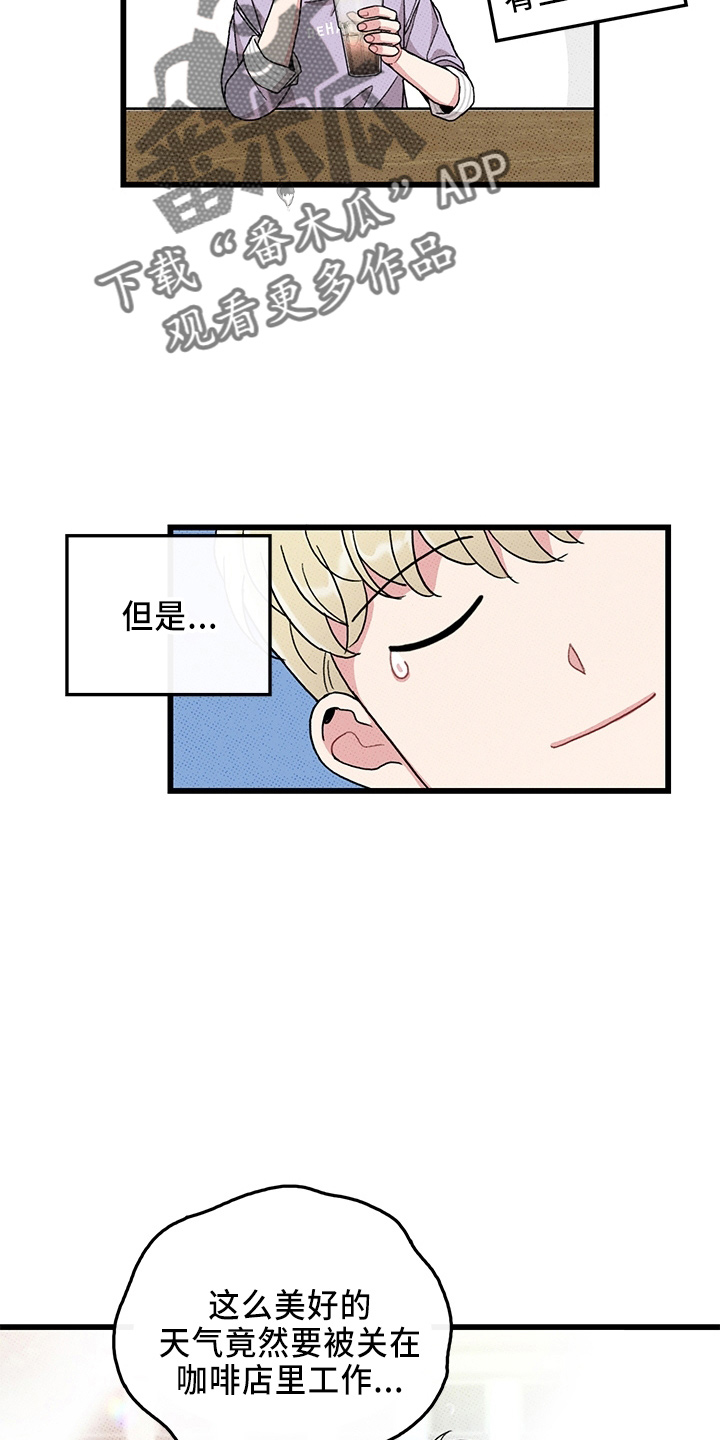 《可爱铃铛》第65章【第二季】逃来的 第8页