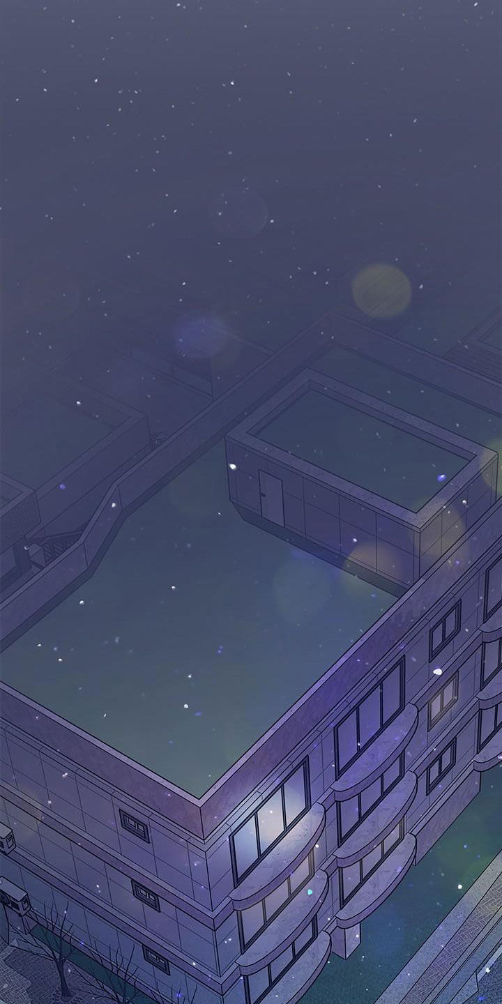 《可爱铃铛》第64章【第一季完结】出国 第20页